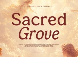 Sacred Grove – Classic Serif Font preview image 1