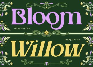 Sanridge – Art Nouveau Typeface Font preview image 2