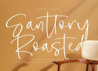 Santtory Roasted Font preview image 1