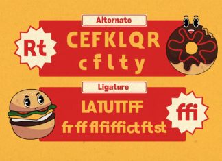 Say Cheezeu Display Sans Font preview image 3