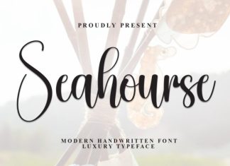 Seahourse Font preview image 1