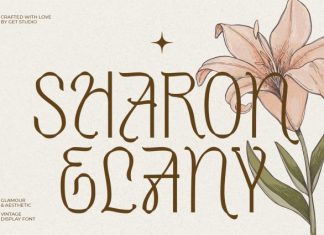 Sharon Elany Font preview image 1
