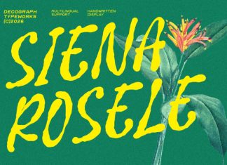 Siena Rosele – Handwritten Font preview image 1