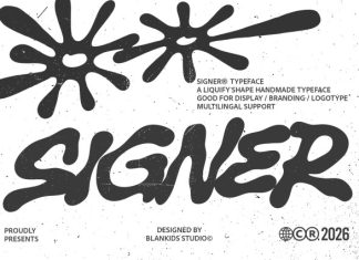 Signer a Bold Liquid Display Typeface Font preview image 1
