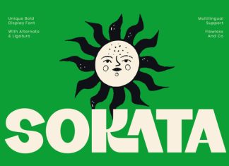 Sokata – Unique Bold Display Font preview image 1