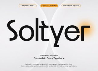 Soltyer – Modern Geometric Sans Serif Font preview image 1