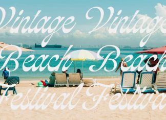 Soulmate Palms Vintage Script Font preview image 3