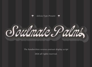 Soulmate Palms Vintage Script Font preview image 1