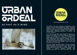 Sparling – Bold Modern Sans Serif Font preview image 3