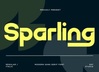 Sparling – Bold Modern Sans Serif Font preview image 1