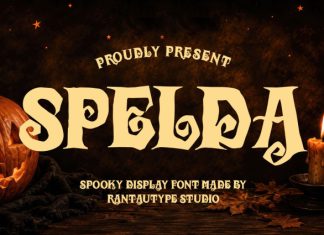Spelda Font preview image 1