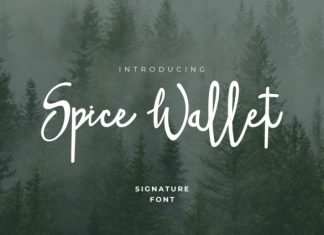 Spice Wallet Handwritten Style Font preview image 1