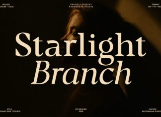 Starlight Branch – Elegant Luxury Serif Font preview image 1