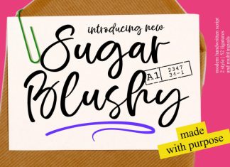 Sugar Blushy – Modern Handwritten Font preview image 1