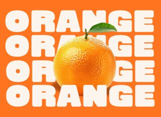 Sugar Garden – Bold Retro Sans Serif Font preview image 2