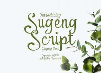 Sugeng Script Handwritten Font preview image 1