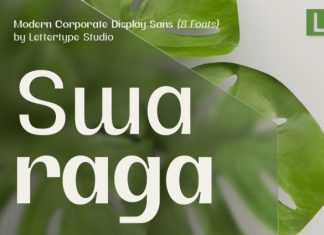 Swaraga Font preview image 1