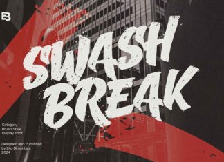 Swash Break Font preview image 1