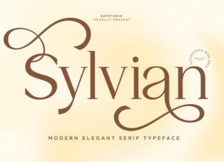 Sylvian – Elegant Modern Serif Font preview image 1