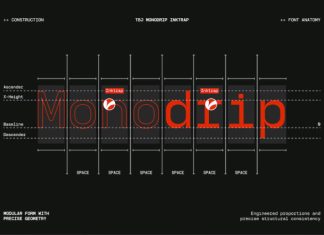 TBJ Monodrip Inktrap Monospace Font preview image 3