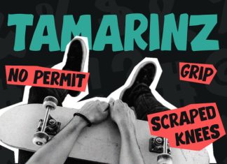 Tamarinz – Urban Street Font preview image 3