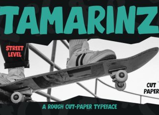 Tamarinz – Urban Street Font preview image 1