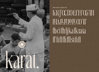 Taska Serif Display Font preview image 3