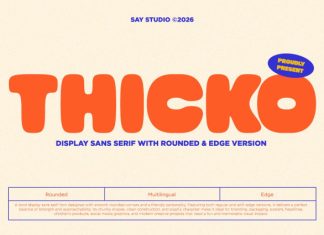 Thicko – Duo Bold Chunky Font preview image 1