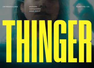 Thinger Font preview image 1
