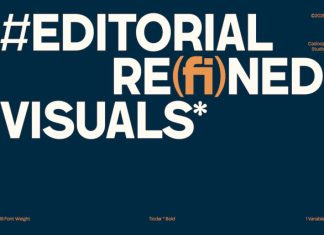 Ticdar – Editorial Typeface Font preview image 2