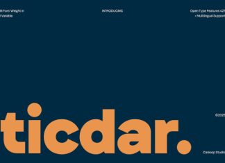 Ticdar – Editorial Typeface Font preview image 1