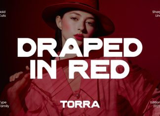Torra – Bold Digital Display Font preview image 3
