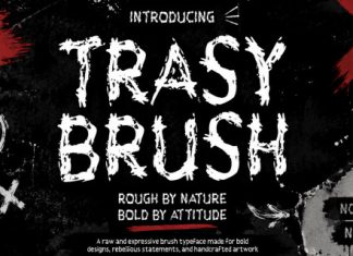 Trasy Brush Grunge Brush Typeface Font preview image 1