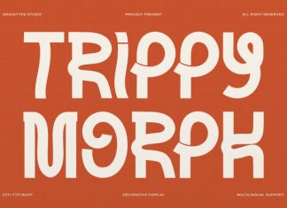 Trippy Morph Decorative Font preview image 1