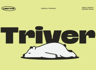 Triver – Bold Inktrap Font preview image 1