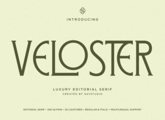 Veloster – Luxury Editorial Serif Font preview image 1