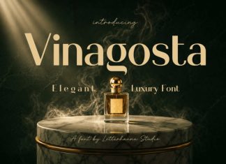 Vinagosta: A Luxury Display Font preview image 1