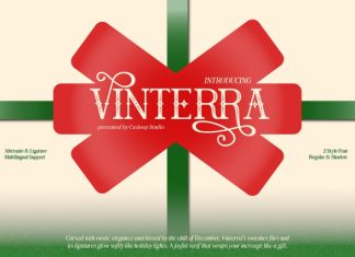 Vinterra – Modern Display Serif Font preview image 1