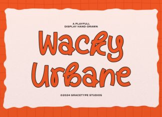 Wacky Urbane Display Hand Drawn Font preview image 1