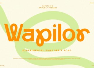 Wapilor – Experimental Sans Font preview image 1