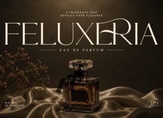 Welerya – Elegant Display Serif Font preview image 3