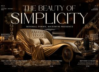 Welerya – Elegant Display Serif Font preview image 2