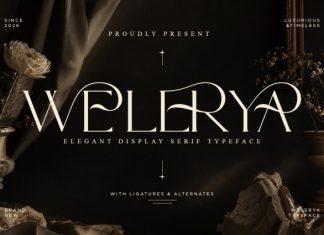 Welerya – Elegant Display Serif Font preview image 1