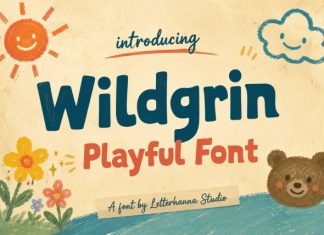 Wildgrin Demo Font preview image 1