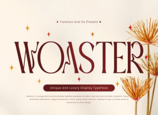 Woaster – Luxury Display Font preview image 1