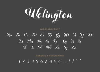 Wolington Script Sans Font preview image 3