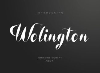 Wolington Script Sans Font preview image 1