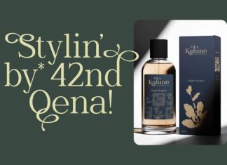 Wornella – Luxury Modern Serif Font preview image 3