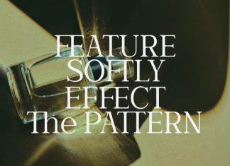 Wornella – Luxury Modern Serif Font preview image 2