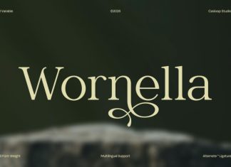 Wornella – Luxury Modern Serif Font preview image 1